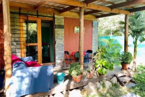 Acacias Stay And Surf