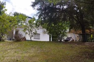 Alquileres en Ocean Park