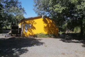 APARTAMENTOS LOS PINOS- INMOBILIARIA FOMENTO