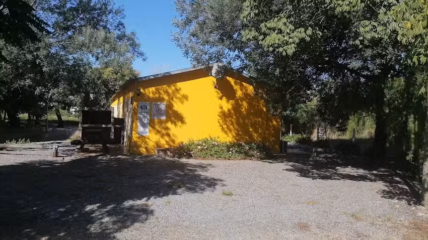 APARTAMENTOS LOS PINOS- INMOBILIARIA FOMENTO