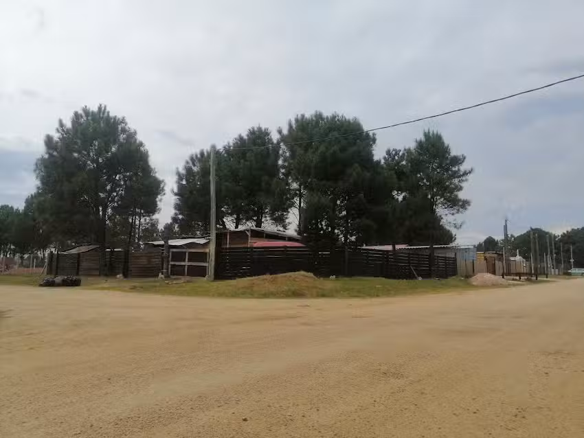 Bonita Manada Hospedaje Canino