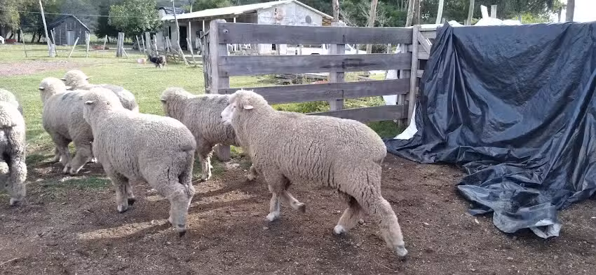 Cabaña La Salamanca