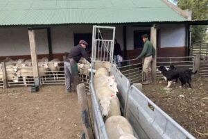 Cabaña San Juan De la Teja