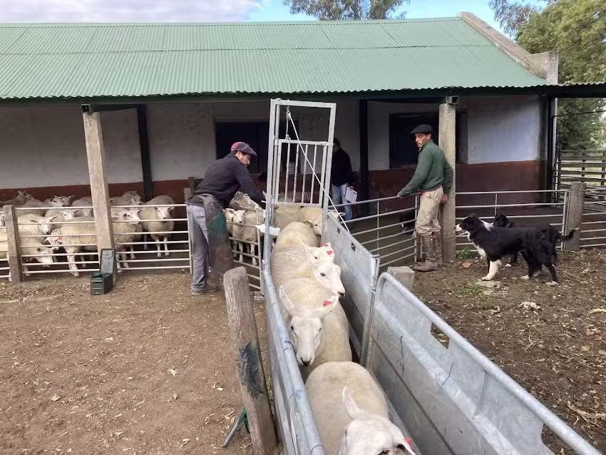 Cabaña San Juan De la Teja