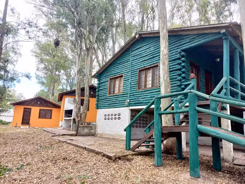 Cabañas «Casa Tronco»
