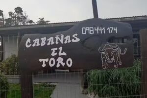 Cabañas EL TORO
