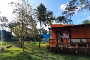 Cabañas El Zorzal,Punta del este
