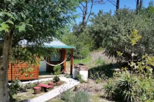 Cabañas ‘La Paloma Mexicana’ y ‘La Paloma Uruguaya’
