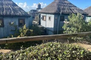 Cabañas Las Achiras