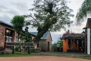 Caminatas Valle Edén Experiencias