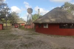 Campamento Infantil F.A.U.