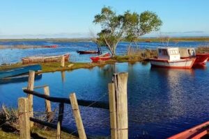 Camping municipal Puerto Los Botes