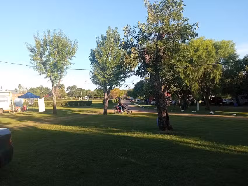 Camping Y Alojamiento El Pingo