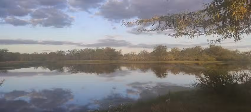 Campo Los Cerrilos Ramos