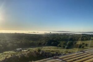 Campo Virginia y fede