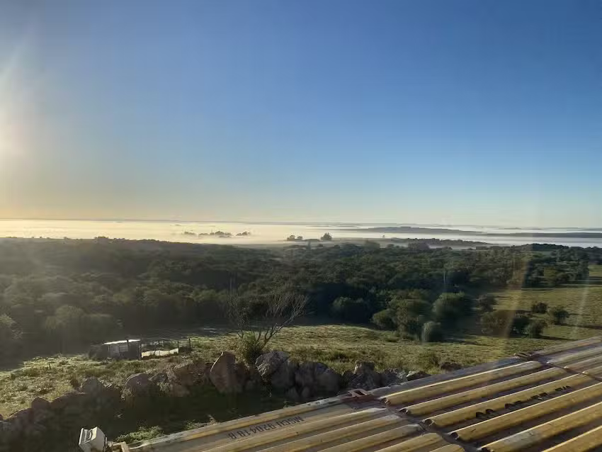 Campo Virginia y fede