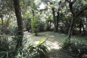 Chacra Establecimiento JJ Pereira Marquez