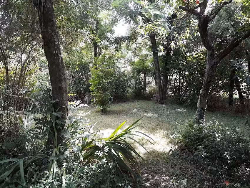 Chacra Establecimiento JJ Pereira Marquez