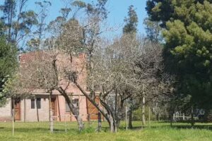 Chacra La Cisplatina