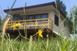 Chacra «La Esmeralda»