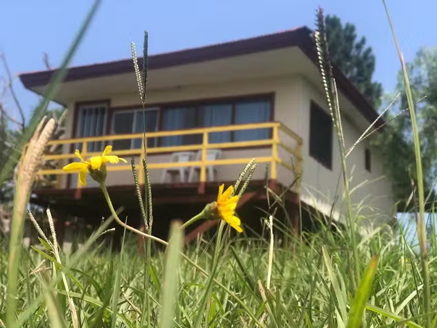 Chacra «La Esmeralda»