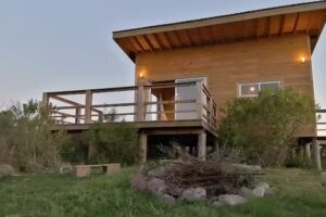 Charrua de Punta colorada