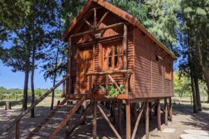 Costas Del San José