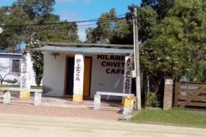 el grillo propiedades