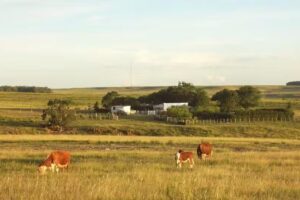 «El Rincón de Arerunguá»