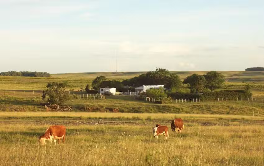 «El Rincón de Arerunguá»