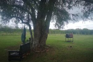 Entorno ideal para descanso