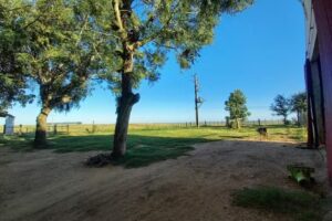 Establecimiento El Espinillo