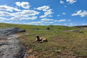 Establecimiento «El Mojón»