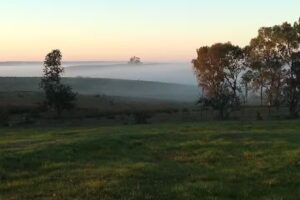 Establecimiento “La Tapera”