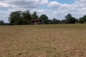 Estancia Buen Retiro – Castillo Morató