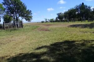 Estancia ‘Maria Altina’