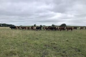 Estancia Santa Rosa de Rolón