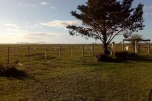 Estancia Yvytu Itaty