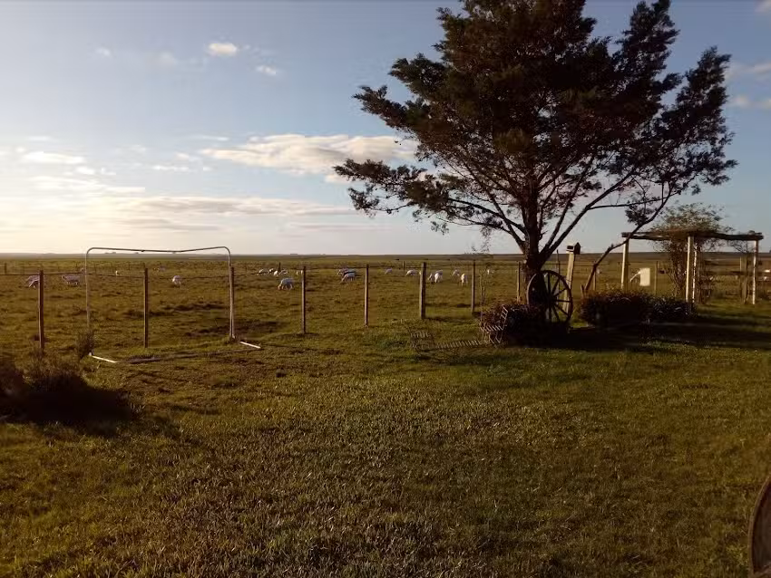 Estancia Yvytu Itaty