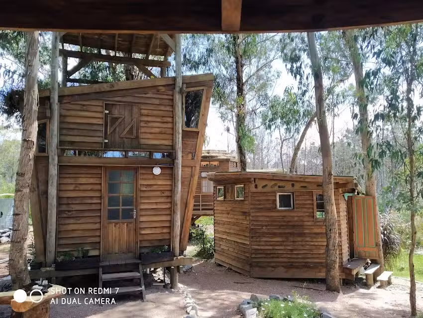 Flor de vida. Domos Geodesicos