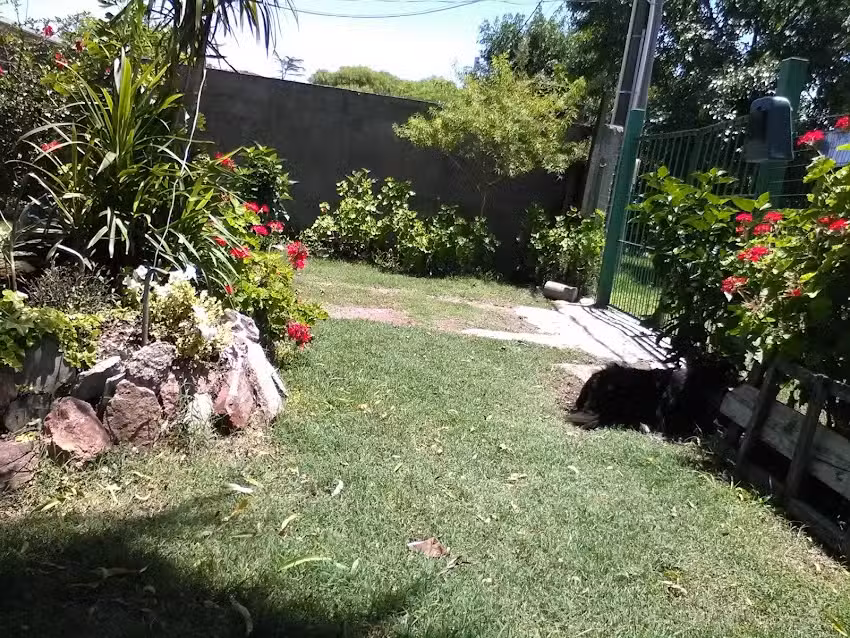 Hotel y guardería Patitas