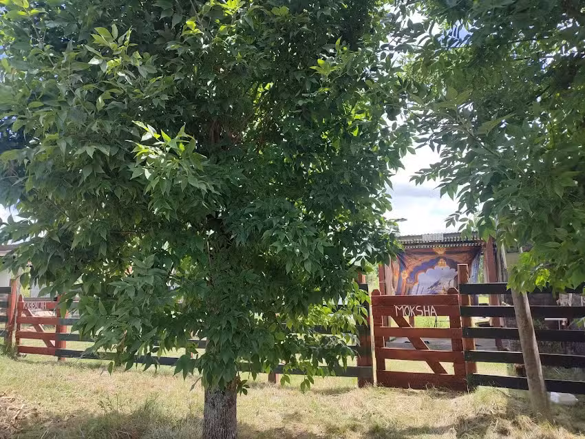 La Casa de Milagros 🥳🇺🇾🧙🏾‍♀️