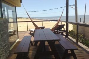 Lobos De Mar Punta Del Diablo