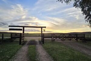Los Macachines – El Yunque