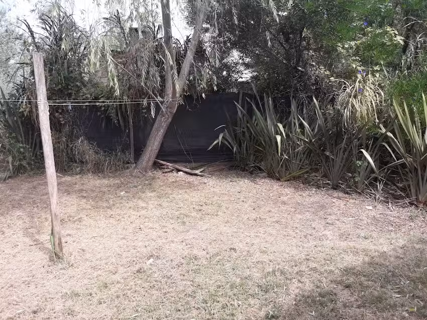 María Cristina Posada