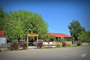 Maria Maria Cabañas Conchillas