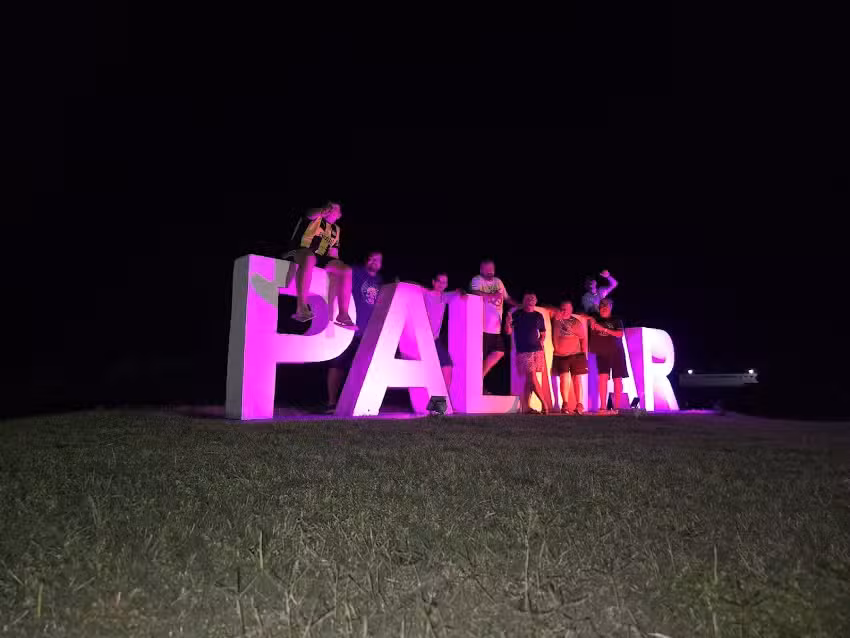 Palmar