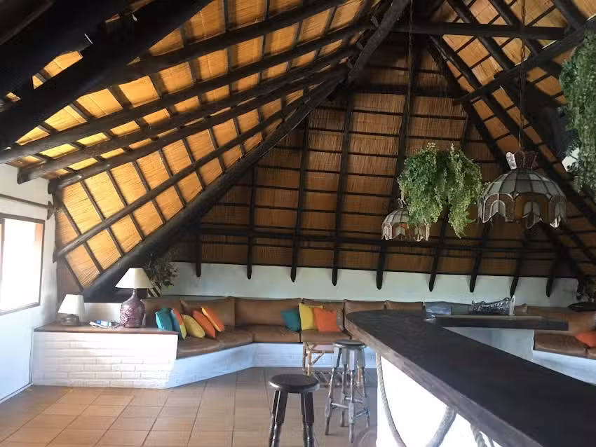 Palmeras del Verdún