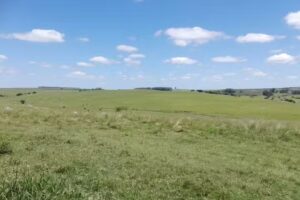 Paso Del Cerro. Cerro Largo