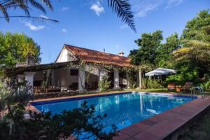 Pinos de la Quebrada